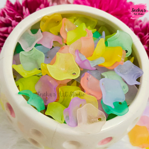 Colorful Shells